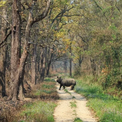Chitwan